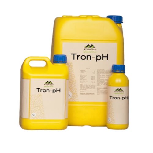 tron ph 1